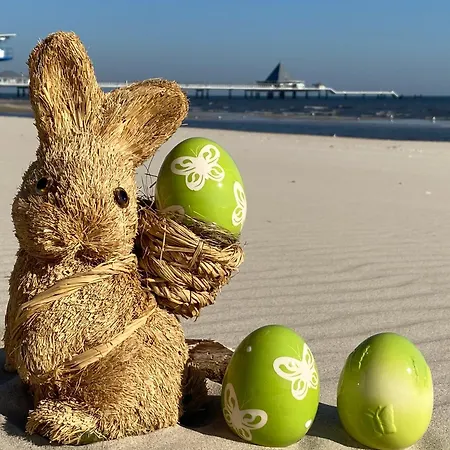 App. Melusine Im Gartenhaus Elisabeth Апартаменты Херингсдорф